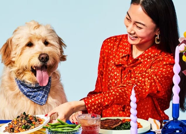 chewy dog food sale cyber monday 2025