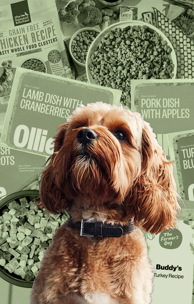 human grade dog food