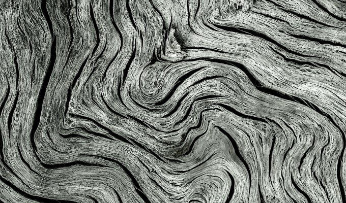 Chinese zodiac elements: Wood and concrete yin-yang symbol