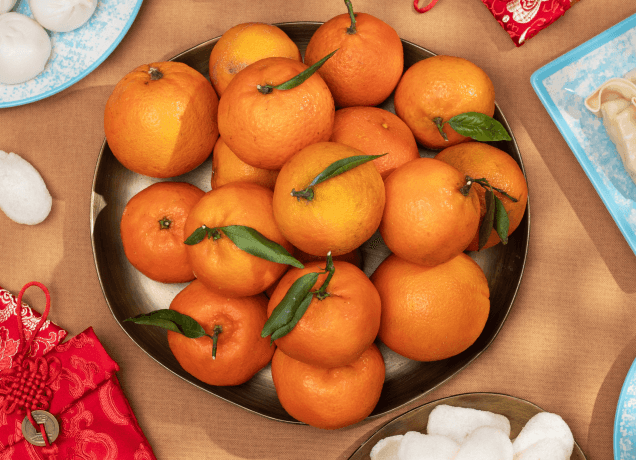 chinese new year foods